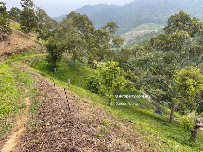 Tanah Pertanian untuk Dijual di Sungai Chetang, Raub oleh Damon Wong - iProperty.com.my