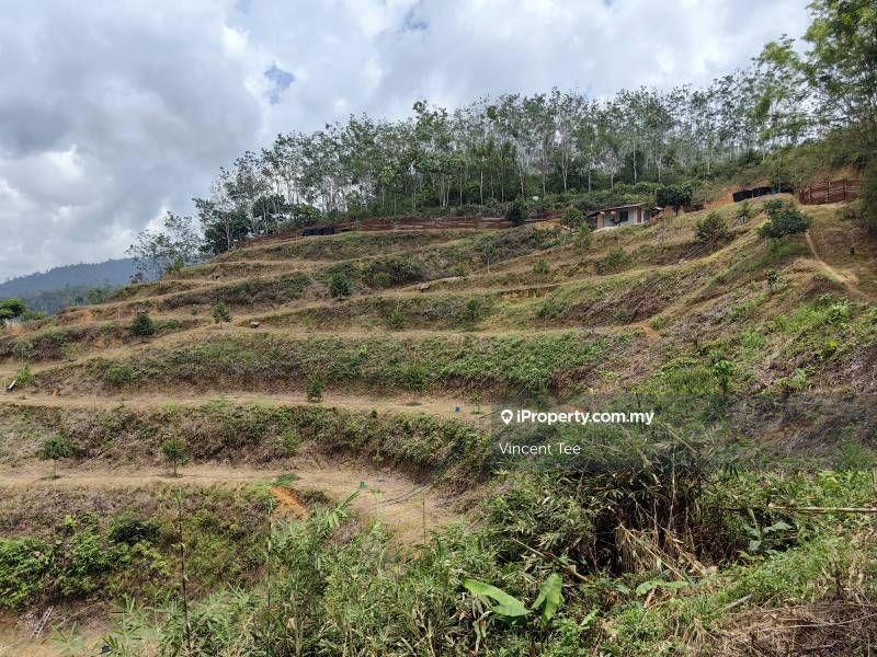 Agricultural Land for Sale in Pekan Baru Titi, Titi by Vincent Tee - iProperty.com.my