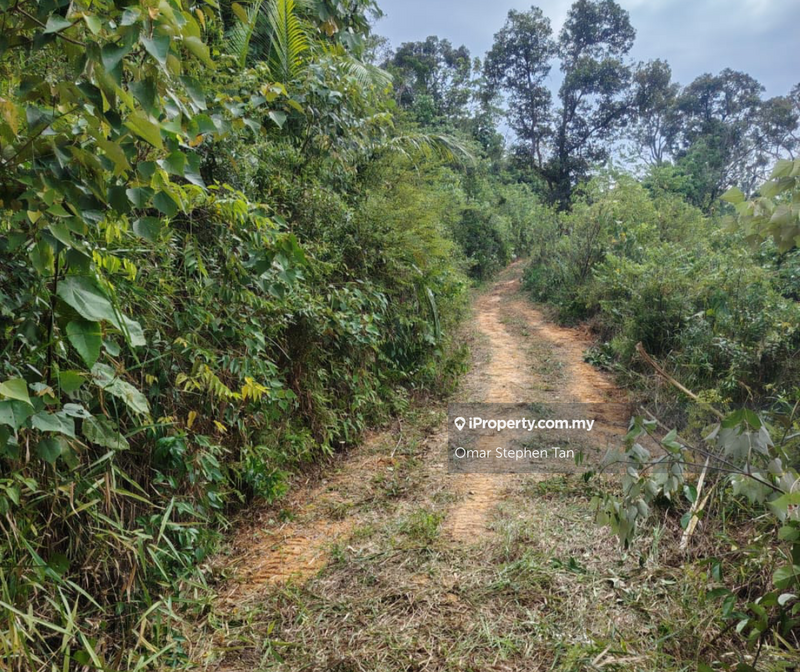Agricultural Land for Sale in Batang Kali, Rawang by Omar Stephen Tan - iProperty.com.my