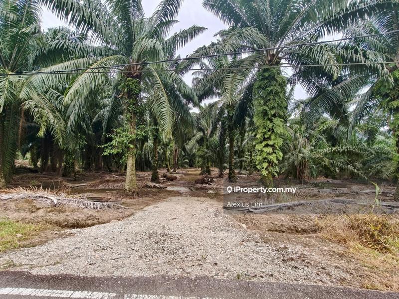 Agricultural Land untuk Dijual di Kampung Chokoh, Kukup oleh Alexius Lim - iProperty.com.my