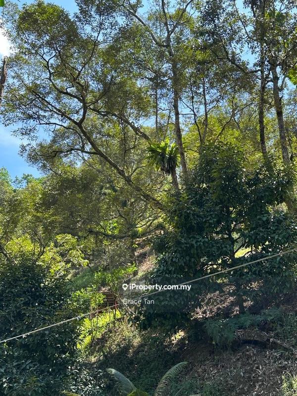 Tanah Pertanian untuk Dijual di Bentong Sang Lee ,Raub, Raub oleh Grace Tan - iProperty.com.my
