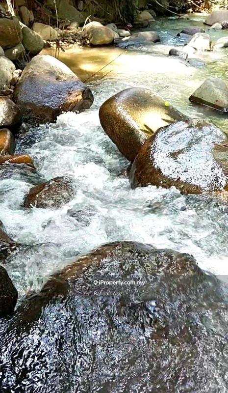 Agricultural Land for Sale in Bentong, Pahang by Rafidah Aziz - iProperty.com.my