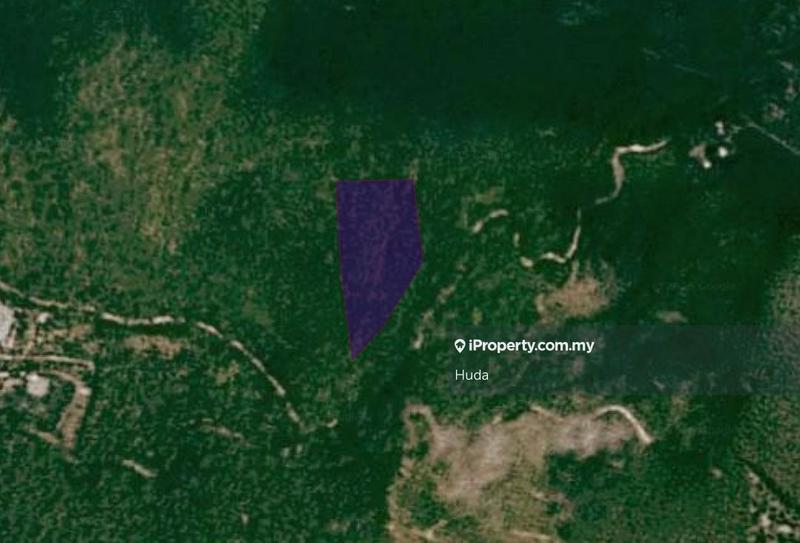 Tanah Pertanian untuk Dijual di Sungai Kongkoi, Kenaboi oleh Huda - iProperty.com.my