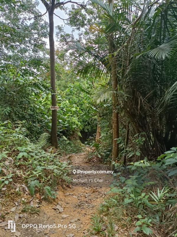 Residential Land for Sale in Taman Bukit Serdang, Seri Kembangan by Michael Yb Chai - iProperty.com.my