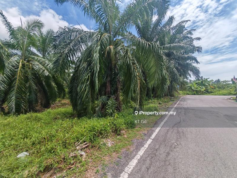 Agricultural Land for Sale in Kampung Tok Muda, Kapar by KT Go - iProperty.com.my