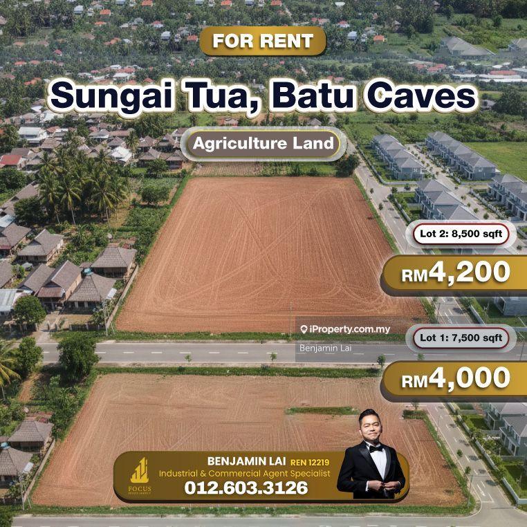 For Rent - Sungai Tua, Batu Caves Agriculture Land For Rent