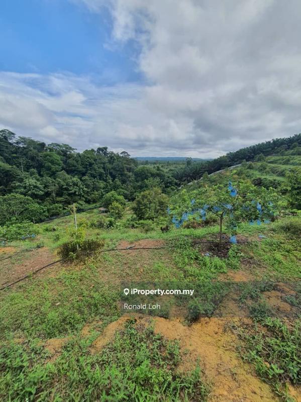 For Sale - Kampung Sungai Dua