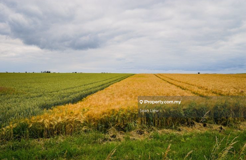 Agricultural Land for Sale in Taman Kuala Selangor, Kuala Selangor by Sean Liew - iProperty.com.my