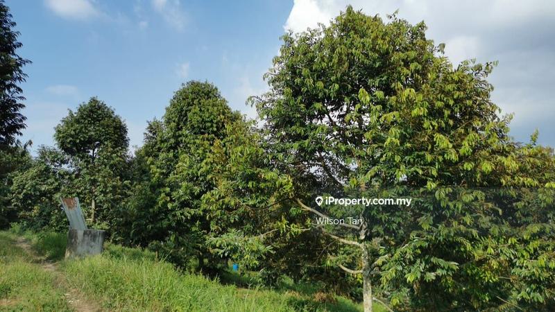 Agricultural Land for Sale in Beranang, Ulu Langat by Wilson Tan - iProperty.com.my