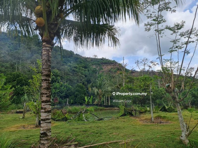 Agricultural Land for Sale in Kampung Tras, Raub by William Looi - iProperty.com.my