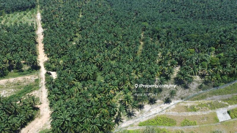 Agricultural Land for Sale in Rembau, Rembau by Aziz Ahmad - iProperty.com.my