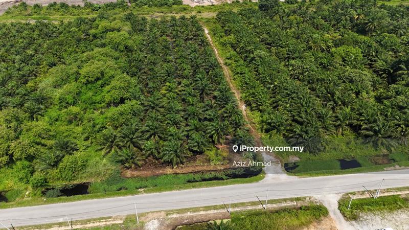 Agricultural Land for Sale in Kampung Jenjarom, Jenjarom by Aziz Ahmad - iProperty.com.my
