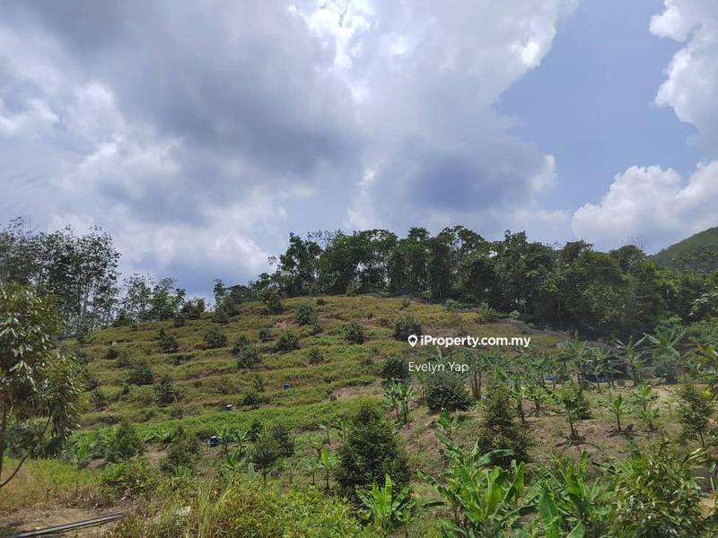For Sale - Durian Agriculture Land Titicane Negeri Sembilan Sungai Muntoh
