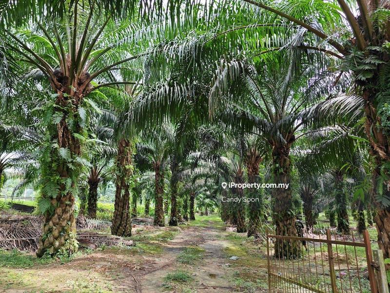 Tanah Pertanian untuk Dijual di Taman Rembau Utama, Rembau oleh Candy Soon - iProperty.com.my