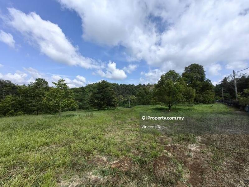 Agricultural Land for Sale in Bandar Lipis, Kuala Lipis by Vincent Tee - iProperty.com.my