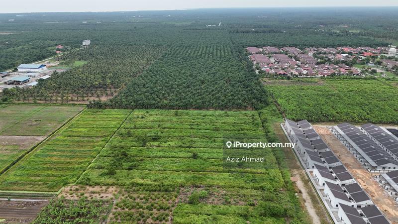 Agricultural Land for Sale in 3ayxd, Sabak Bernam by Aziz Ahmad - iProperty.com.my