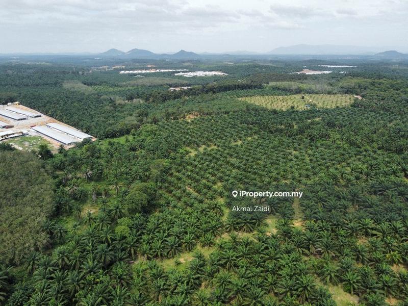 Agricultural Land for Sale in 50 to 100 Acres Near PMU TNB Melaka, Ayer Keroh by Akmal Zaidi - iProperty.com.my