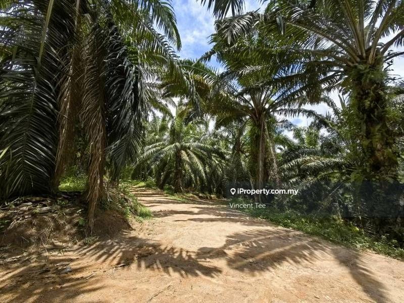 Tanah Pertanian untuk Dijual di Taman Jelebu, Kuala Klawang oleh Vincent Tee - iProperty.com.my