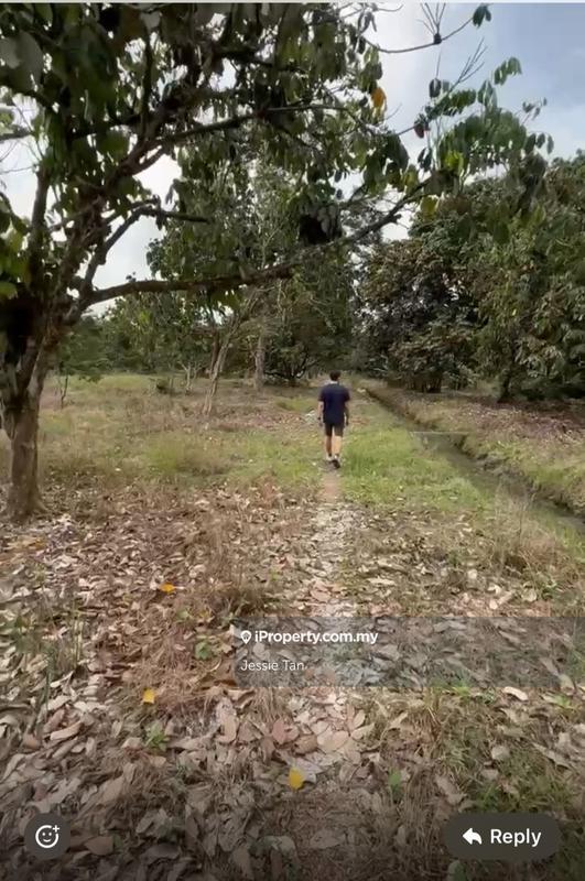 Tanah Pertanian untuk Dijual di Pekan Nanas, Johor oleh Jessie Tan - iProperty.com.my