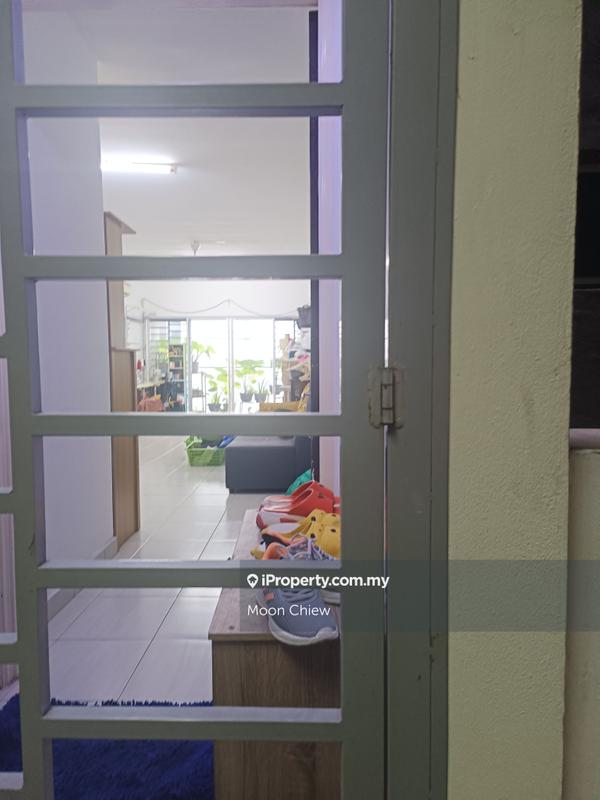 For Sale - Koi Kinrara