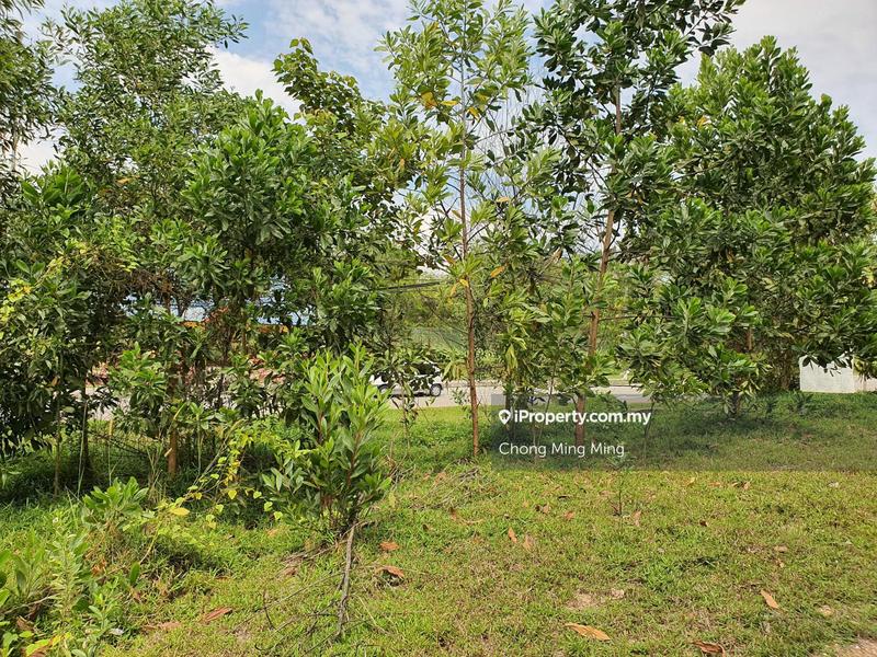 Agricultural Land for Sale in Lendu, Alor Gajah by Chong Ming Ming - iProperty.com.my