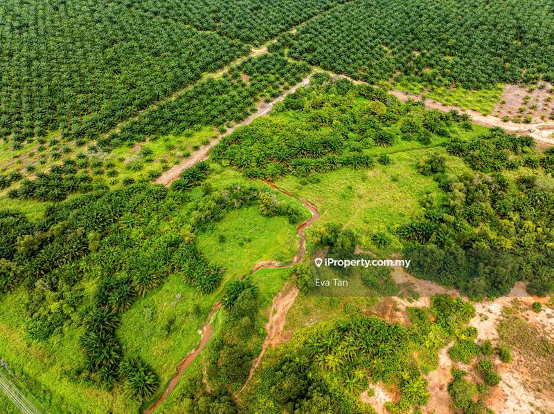 Tanah Perindustrian untuk Dijual di Kawasan Perindustrian Tanjung Langsat, Pasir Gudang oleh Eva Tan - iProperty.com.my