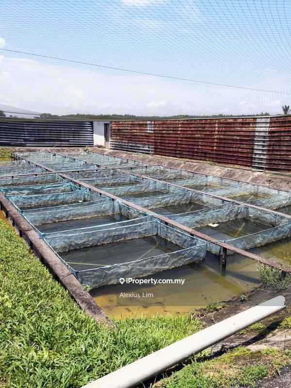 Agricultural Land for Sale in Kulai, Kulai by Alexius Lim - iProperty.com.my