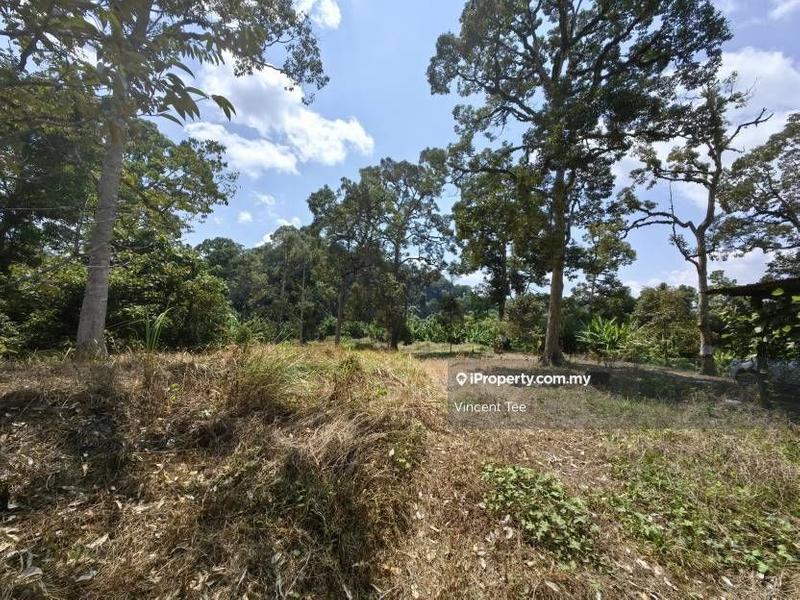 Agricultural Land for Sale in Bandar Baru Kuala Lipis, Kuala Lipis by Vincent Tee - iProperty.com.my