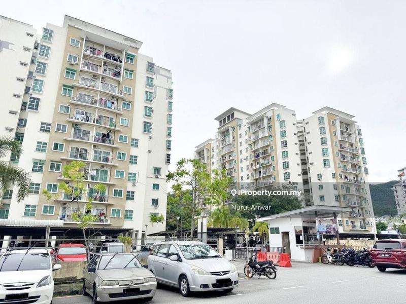 For Sale - Idaman Lavender