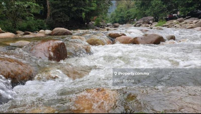 For Sale - Agricultural Land Kg Ulu Riau Lubok Jong, Baling