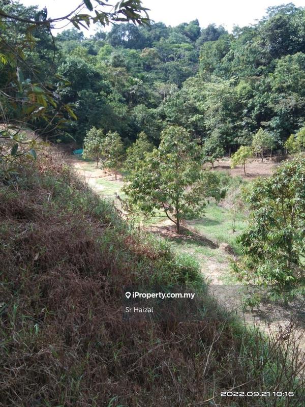 Agricultural Land for Sale in Tampin, Negeri Sembilan by Sr Haizal - iProperty.com.my