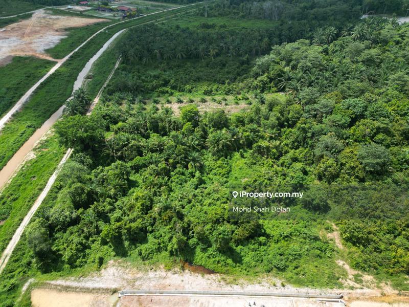 Agricultural Land for Sale in Jenderam Hilir, Sepang by Mohd Shah Dolah - iProperty.com.my
