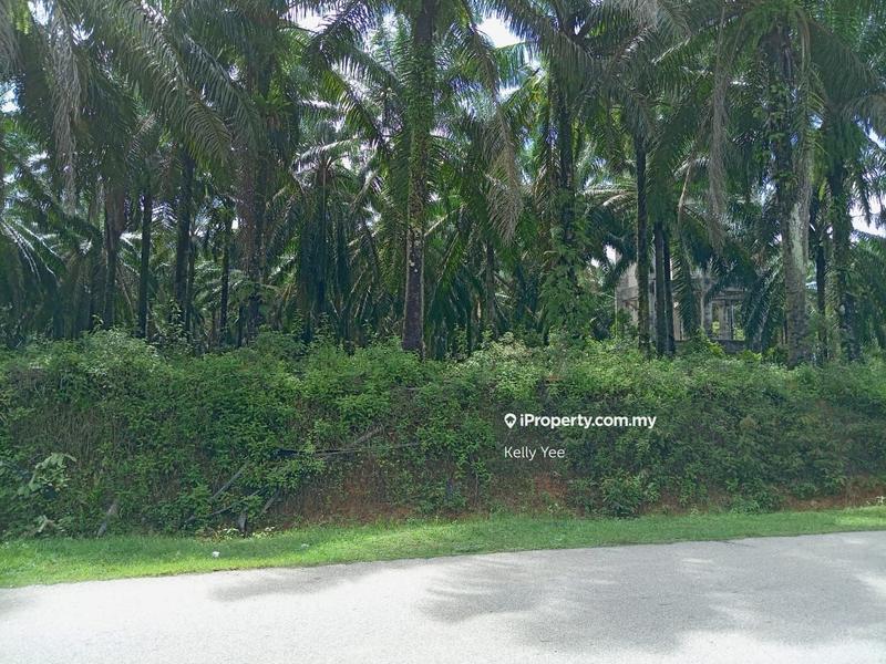 Agricultural Land for Sale in Palm Oil Plantation @ Labu Besar, Kulim for Sale, Kulim by Kelly Yee - iProperty.com.my