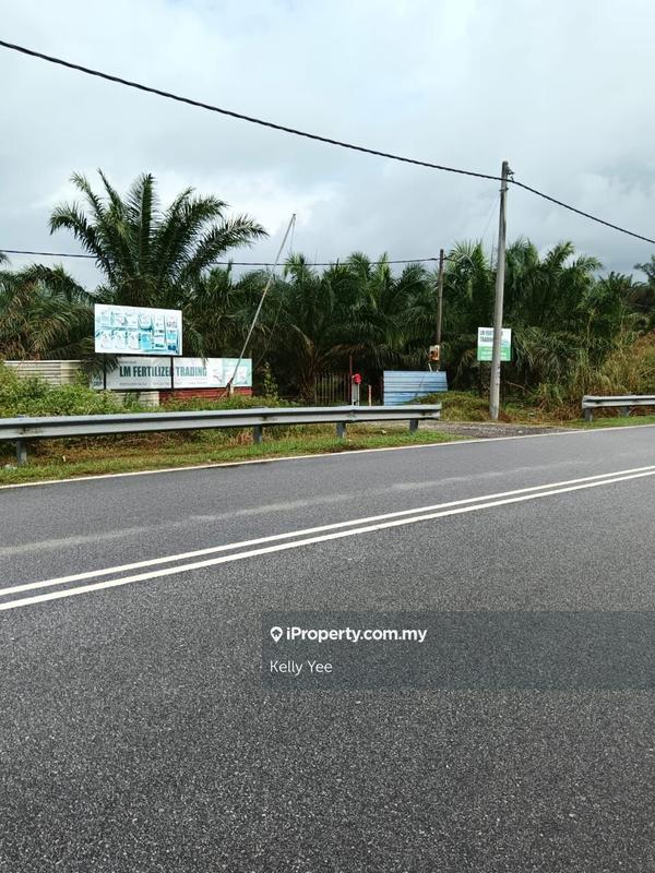 For Sale - Palm Oil Plantation @ Selama for Sale
