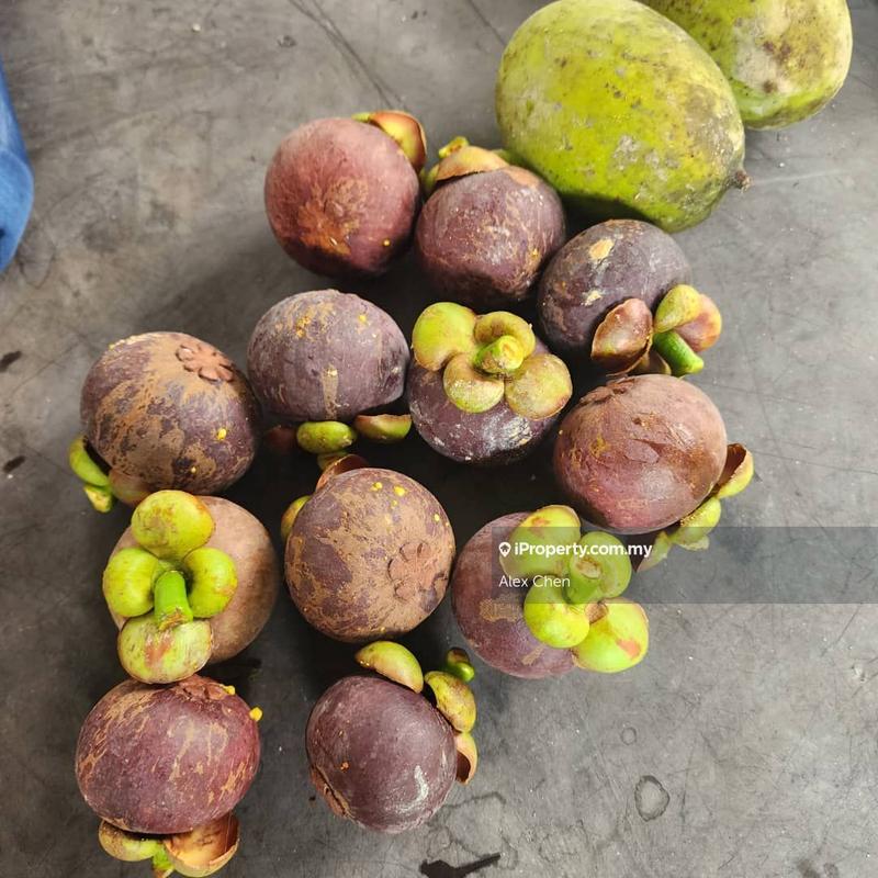 Agricultural Land for Sale in Taman Semanja, Kajang by Alex Chen - iProperty.com.my