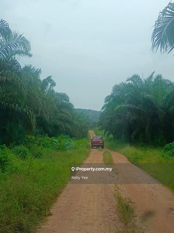 Agricultural Land for Sale in Paloh, Kluang by Kelly Yee - iProperty.com.my