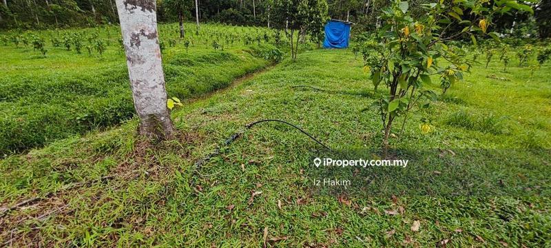 Agricultural Land for Sale in Batang Kali, Selangor by Iz Hakim - iProperty.com.my