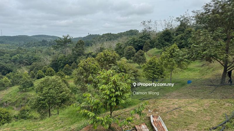 Agricultural Land for Sale in Sega, Dong, Raub by Damon Wong - iProperty.com.my