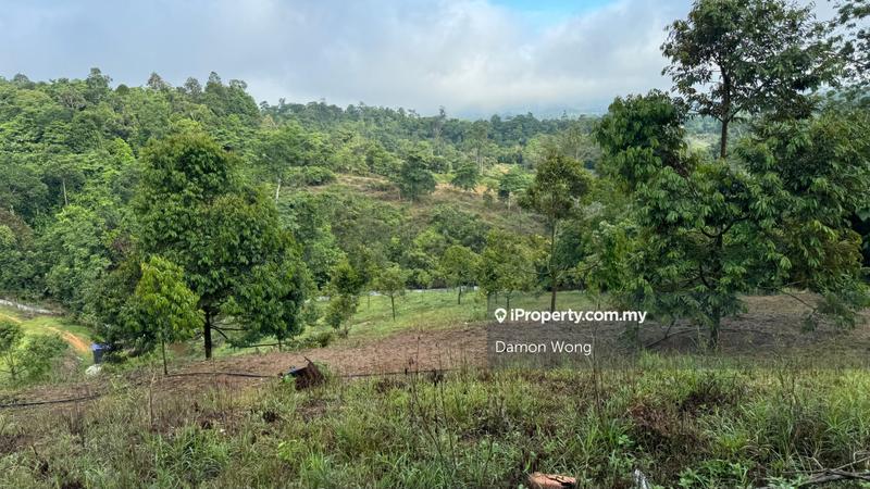 Agricultural Land for Sale in Sega, Dong, Raub by Damon Wong - iProperty.com.my
