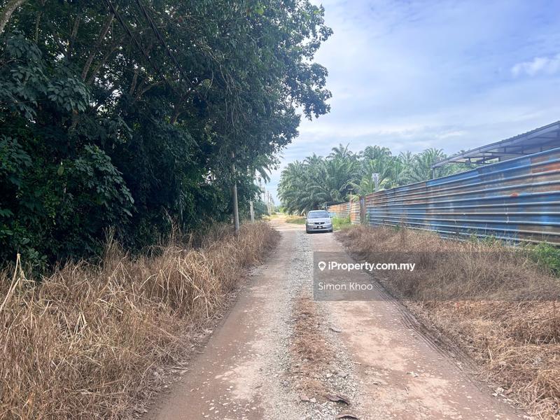 Tanah Pertanian untuk Dijual di Pekan Ijok, Ijok oleh Simon Khoo - iProperty.com.my
