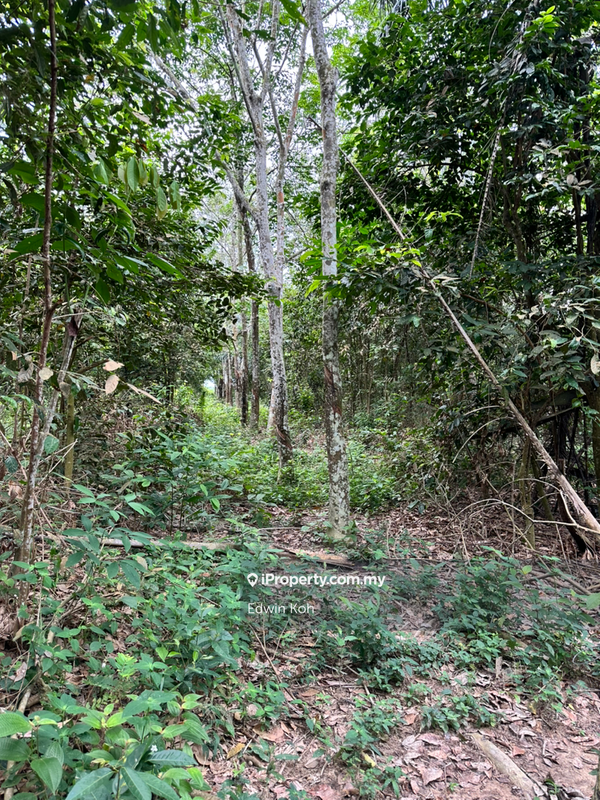 Agricultural Land for Sale in Taman Bemban Utama, Bemban by Edwin Koh - iProperty.com.my