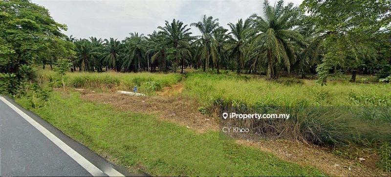 Agricultural Land for Sale in Johor Kluang Taman Puteri 1168 acres Mix deverlope, Kluang by CY Khoo - iProperty.com.my