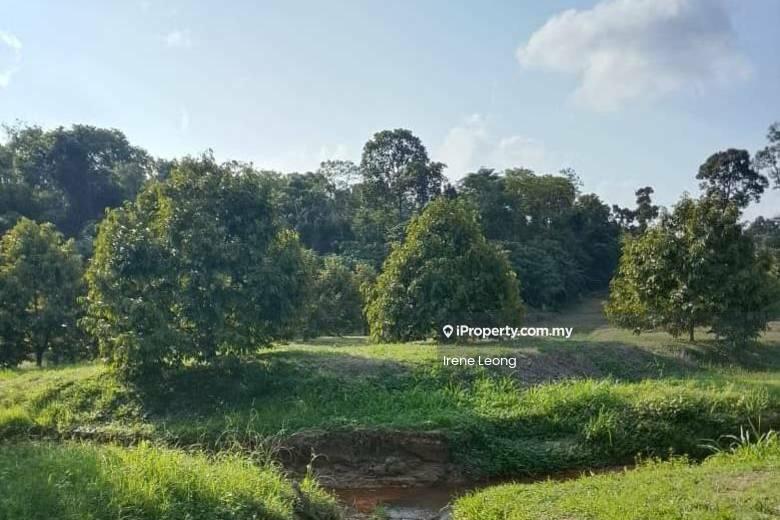 Agricultural Land for Sale in Karak, Pahang by Irene Leong - Exterior - iProperty.com.my