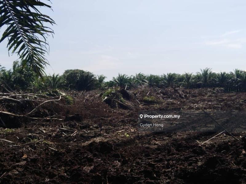 Agricultural Land for Rent in Kampung Parit Sikom Lapis, Ayer Baloi by Gyden Heng - iProperty.com.my