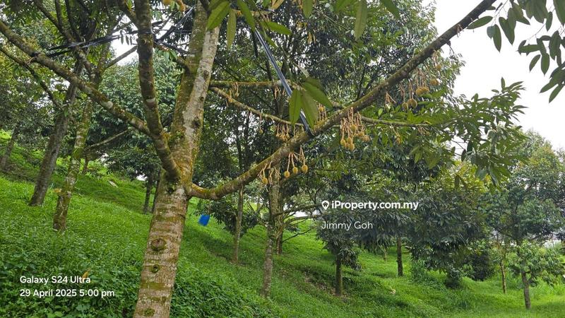 Tanah Pertanian untuk Dijual di Kampung Sungai Tekali, Hulu Langat oleh Jimmy Goh - iProperty.com.my