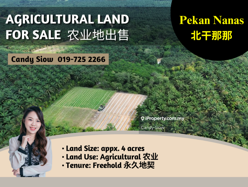 For Sale - Pekan Nanas Ulu Choh 4 acres Agriculture Land