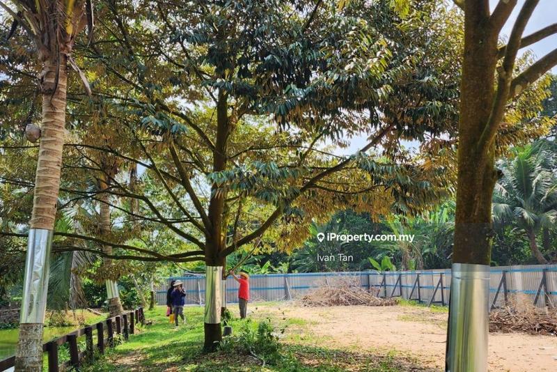Tanah Pertanian untuk Dijual di Kampung Sungai Makau, Hulu Langat oleh Ivan Tan - iProperty.com.my