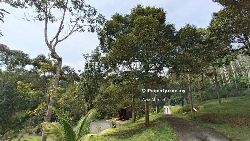 Agricultural Land for Sale in Taman Jelebu, Kuala Klawang by Aziz Ahmad - iProperty.com.my