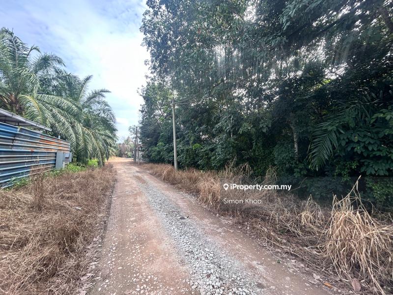 Tanah Pertanian untuk Dijual di Pekan Ijok, Ijok oleh Simon Khoo - iProperty.com.my