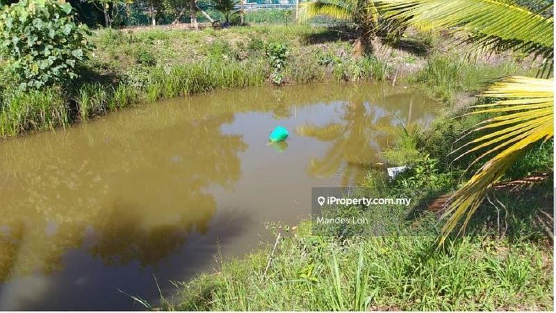 Agricultural Land for Sale in Karak Durian Orchard, Karak by Mandes Loh - iProperty.com.my